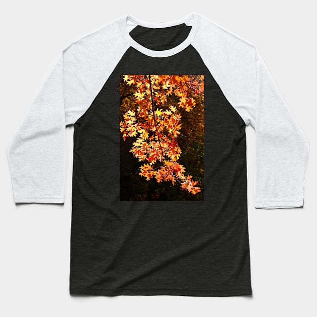 Autumn Leaves Baseball T-Shirt by jwwallace